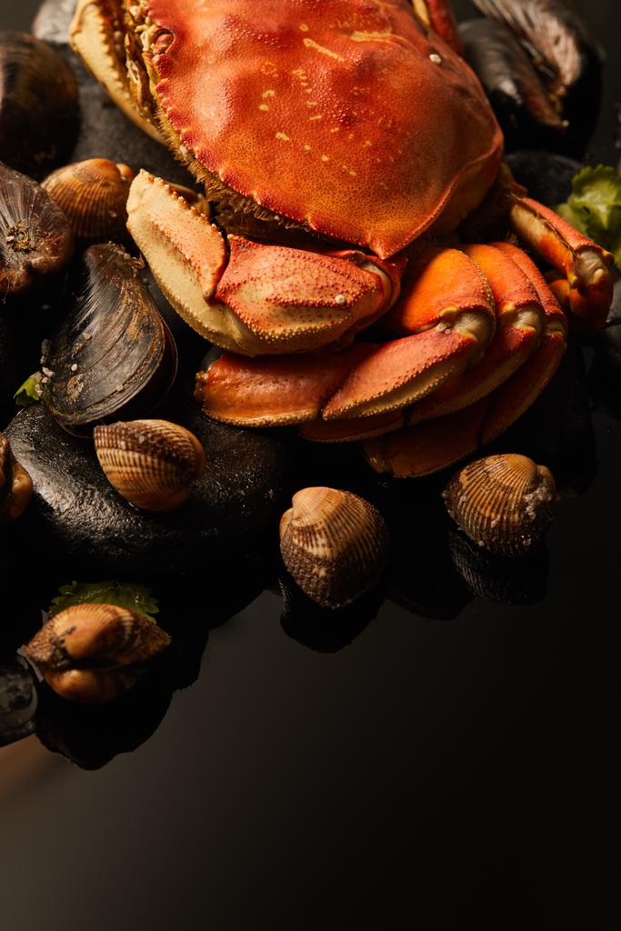 vista de perto de caranguejo não cozido, conchas e mexilhões em pedras isoladas em preto
 - Foto, Imagem