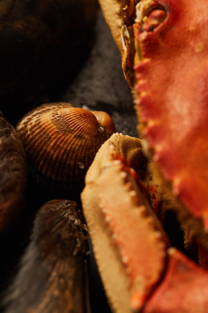Nahaufnahme von rohen Krabben, Herzmuscheln und Muscheln auf Steinen - Foto, Bild