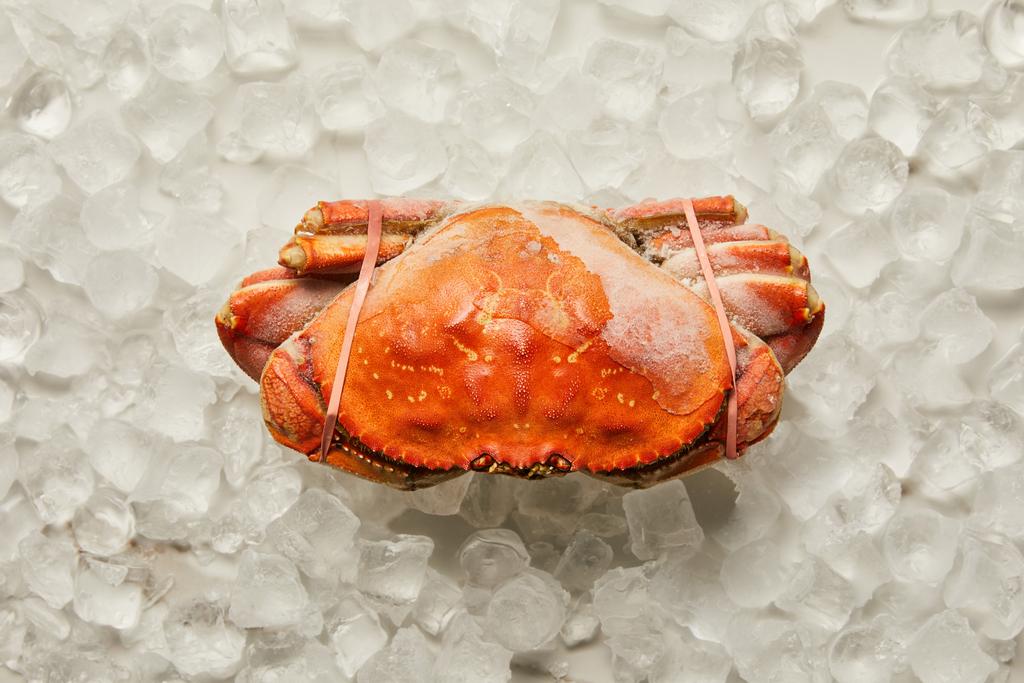 Draufsicht auf gefrorene rohe gefesselte Krabben auf Eiswürfeln auf weißen - Foto, Bild