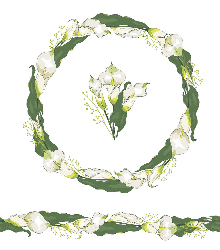 Okrągły wieniec z kwiatów lilia Calla lub cantedeskia izolowane na białym tle. Bezszwowa pozioma szczotka do wzorów. - Wektor, obraz