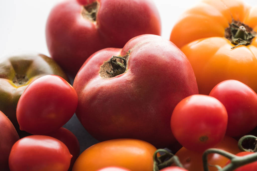 vue rapprochée de différentes tomates jaunes et rouges
  - Photo, image