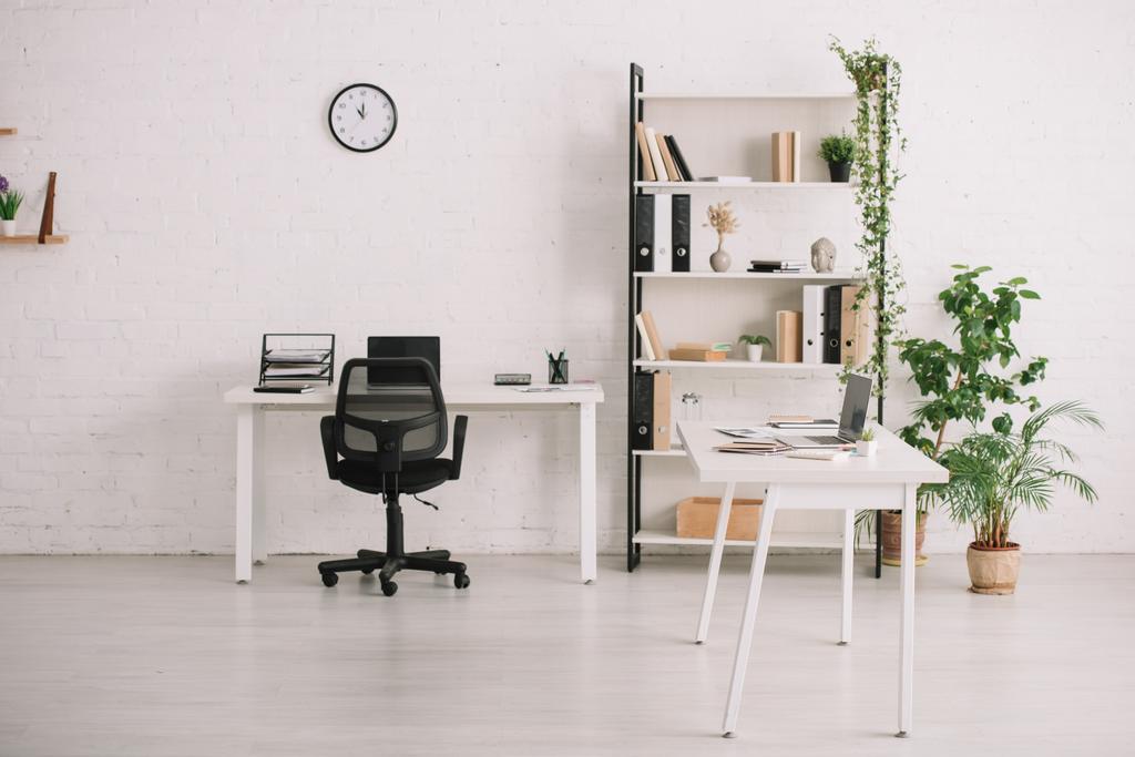 Amplia oficina con escritorios, estante con libros, plantas en macetas y reloj en pared blanca
 - Foto, Imagen