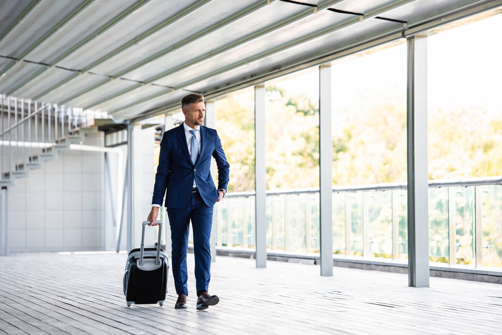 красивий і впевнений бізнесмен у формальному носінні тримає валізу
  - Фото, зображення