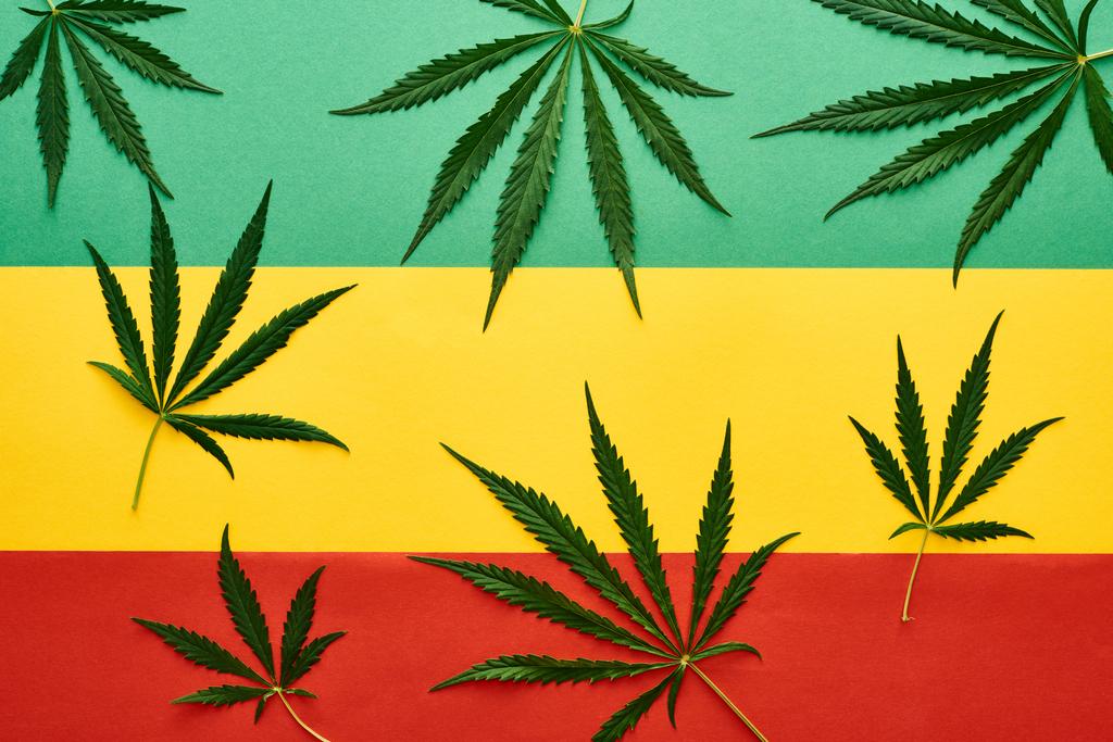 pohled na Cannabis listí na pozadí Rastafarianské vlajky - Fotografie, Obrázek