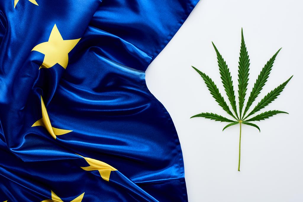 白い背景にヨーロッパの旗の近くに緑の大麻の葉のトップビュー - 写真・画像