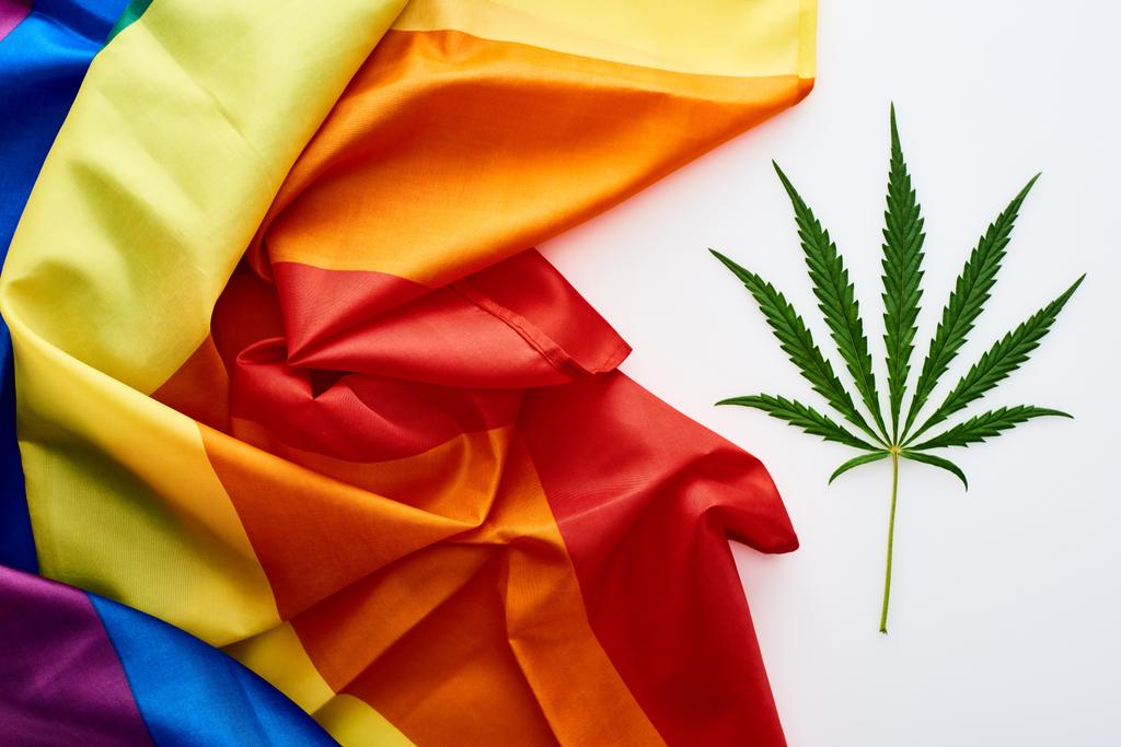 vista superior da folha de cannabis verde perto da bandeira lgbt no fundo branco
 - Foto, Imagem