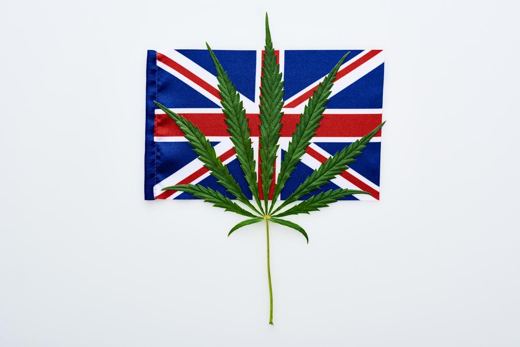 top view of green cannabis leaf on UK flag on white background - Photo, Image