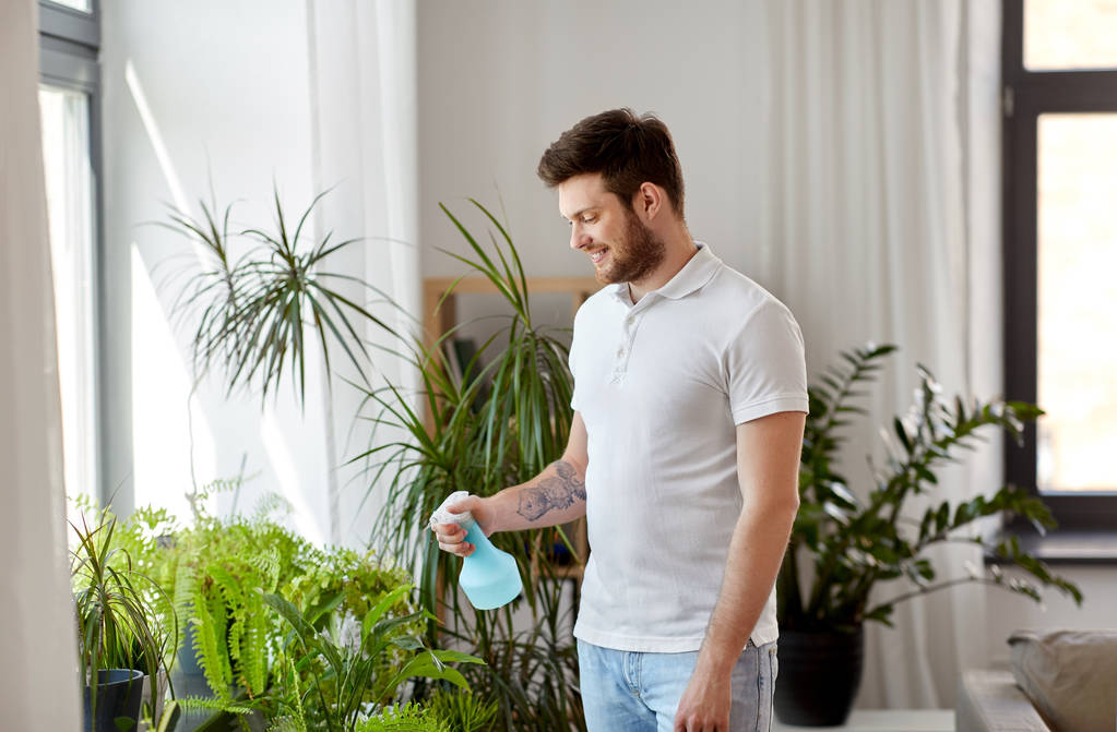 uomo spruzzando piante d'appartamento con acqua a casa
 - Foto, immagini