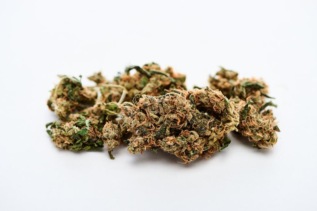 vista de cerca de Marihuana natural Brotes sobre fondo blanco
 - Foto, Imagen