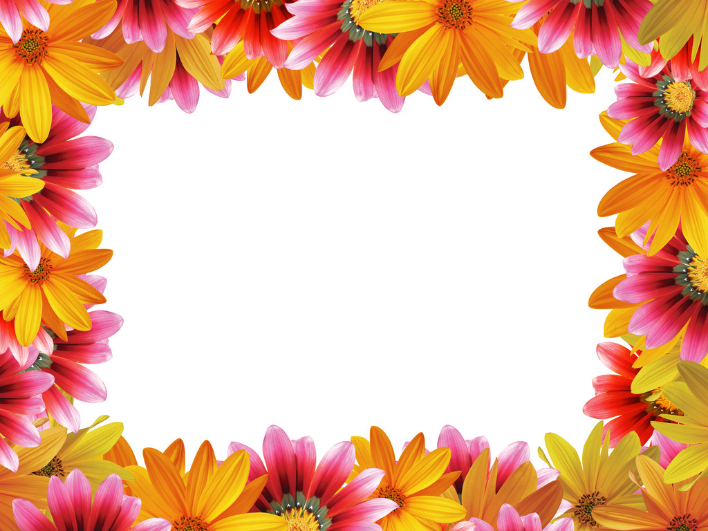 bloem frame 4 - Foto, afbeelding