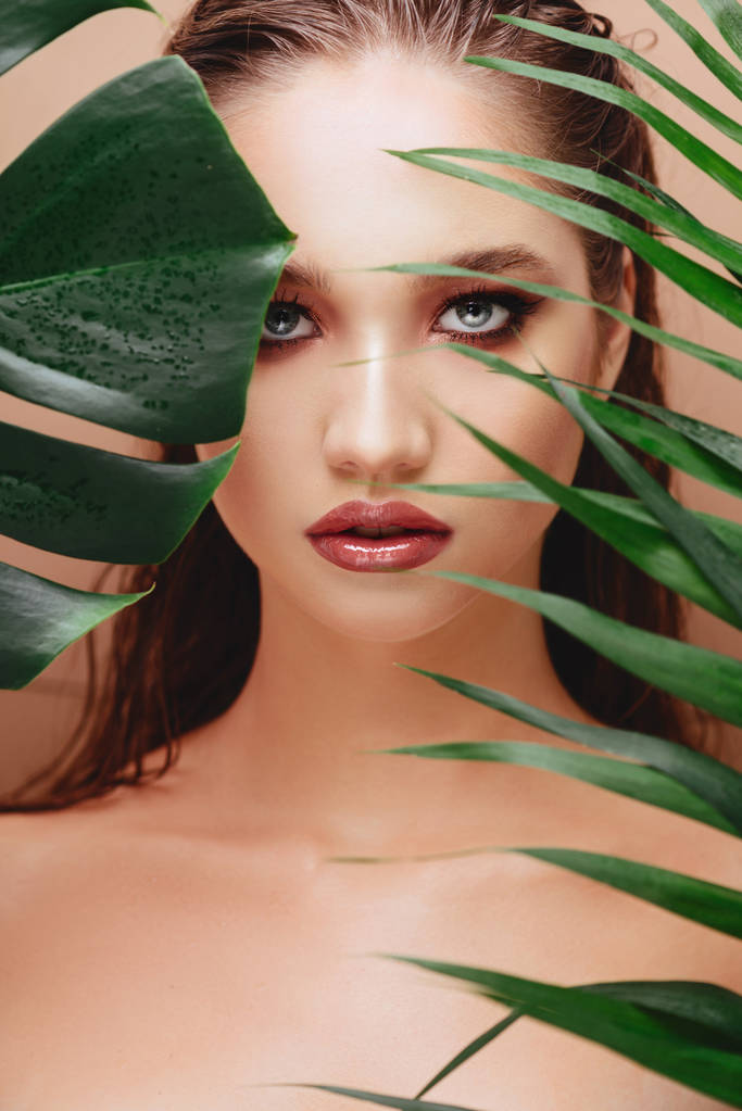 jovem mulher atraente posando com uma folha verde fresca
 - Foto, Imagem