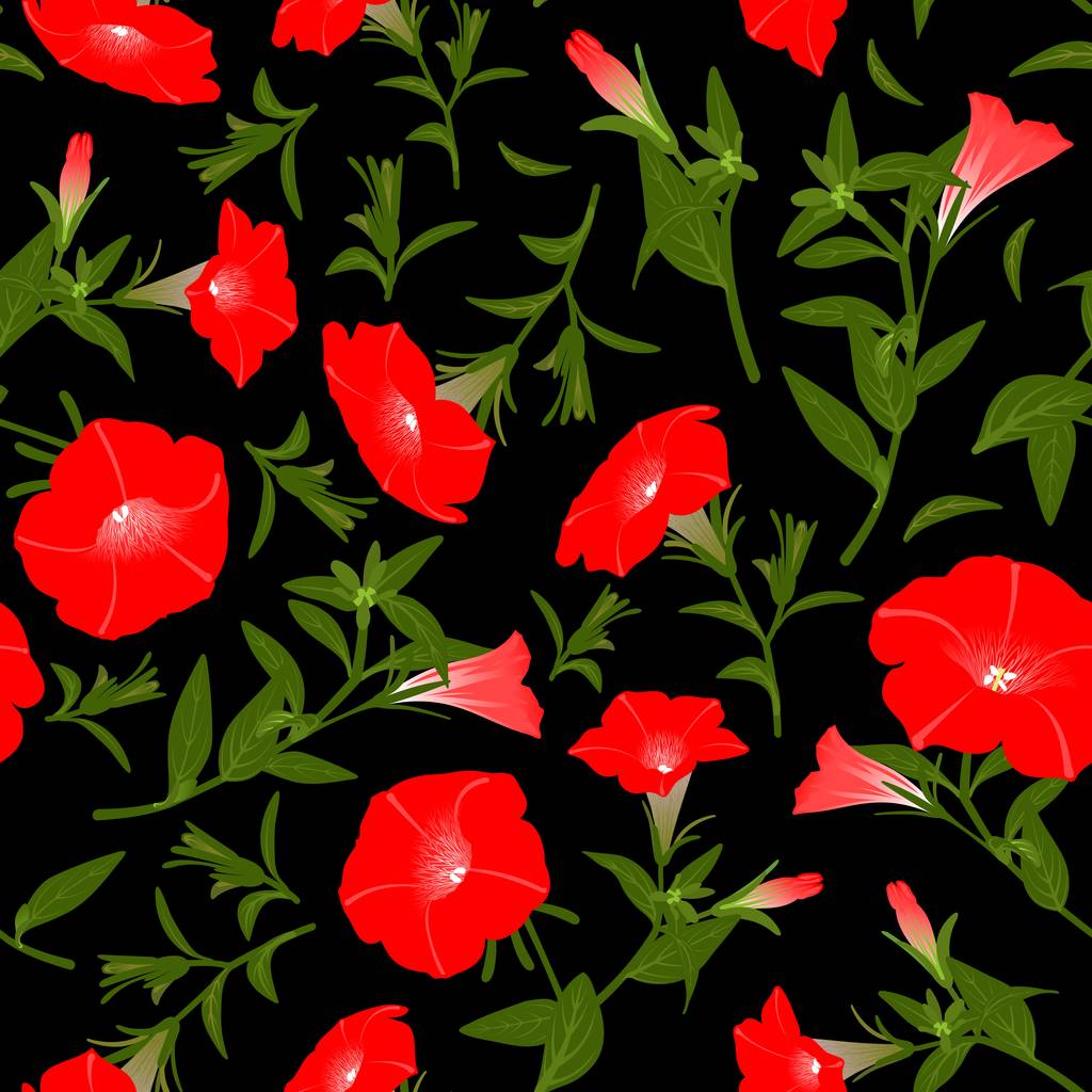 Színes mintázat virágzó petunias - Fotó, kép