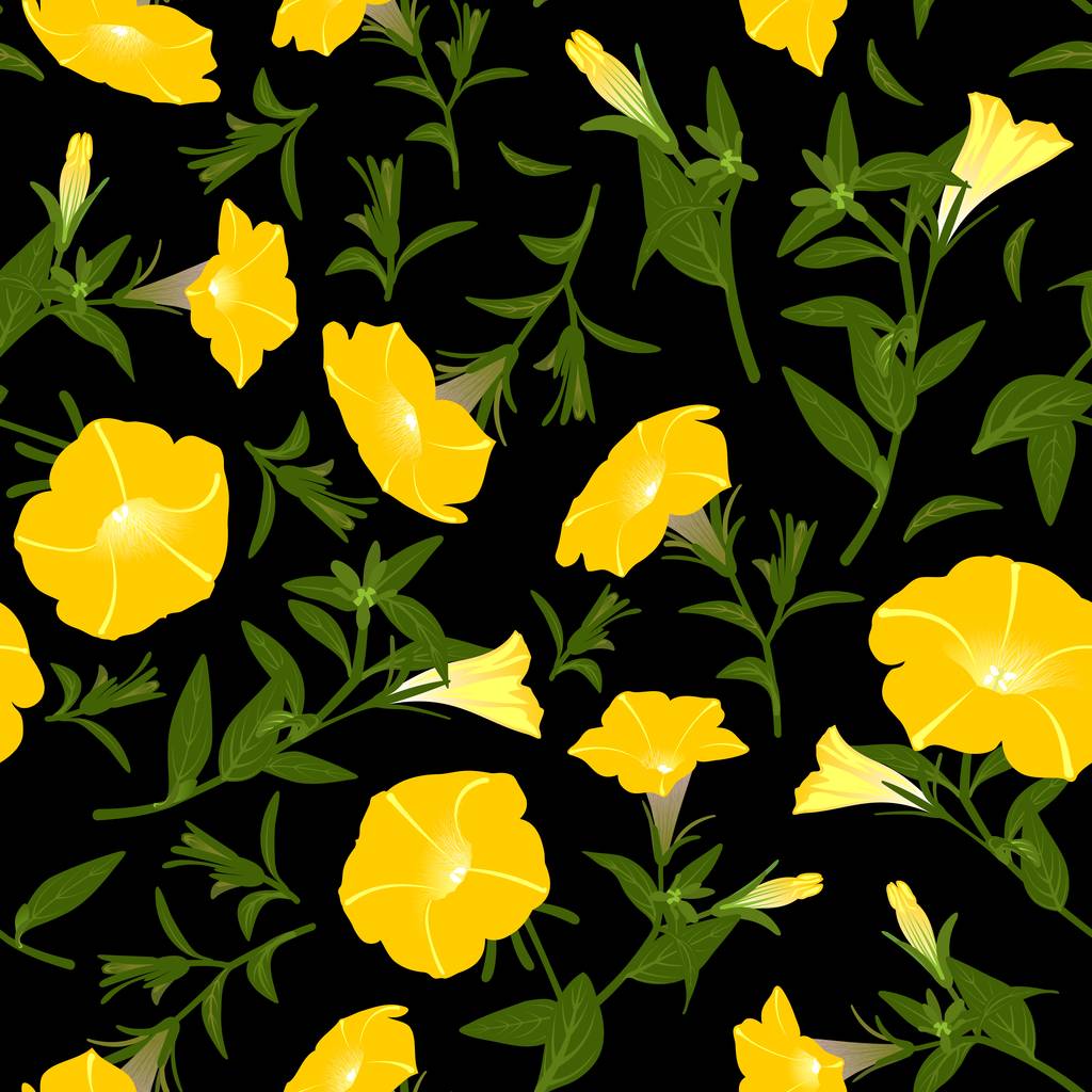 Barevný vzorek s kvetoucí květináč petúnií - Fotografie, Obrázek