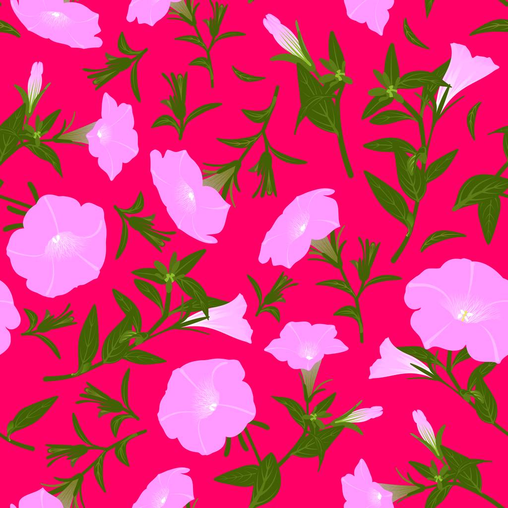 咲くペチュニアのカラーパターン - 写真・画像