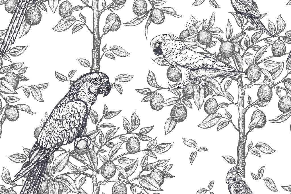 Trees and parrots. Seamless pattern. Black and white. - Vector, Image