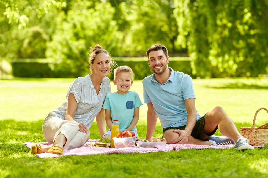 портрет семьи на пикнике в летнем парке - Фото, изображение