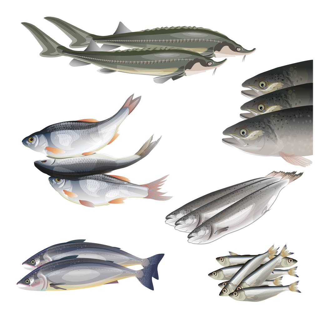 Набор векторных рыб
 - Вектор,изображение