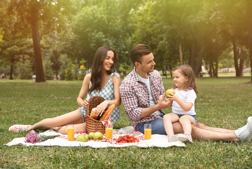 glückliche Familie beim Picknick im Park an einem sonnigen Tag - Foto, Bild