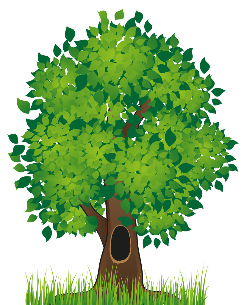 Лиственничное дерево
 - Вектор,изображение