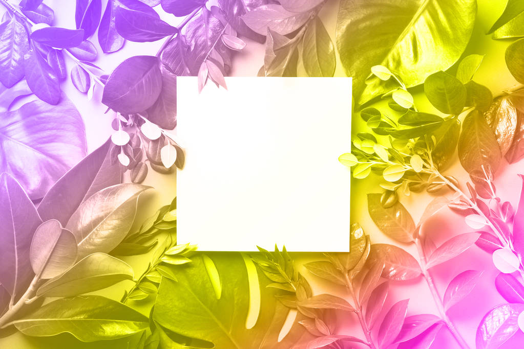 Δημιουργική διάταξη από τροπικά φύλλα σε μοντέρνα χρώματα νέον. Φόντο βαθμίδωσης. Επίπεδη. Στο πάνω μέρος. Κουράγιο. - Φωτογραφία, εικόνα