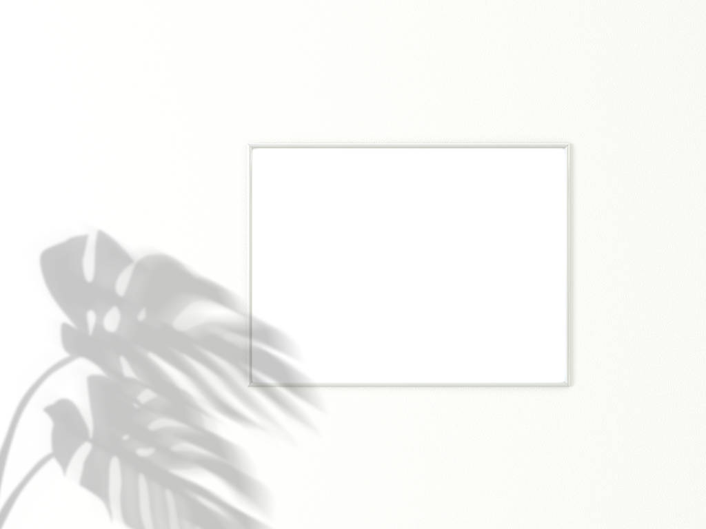3x4 vodorovný bílý rám pro fotografii nebo obrázek na bílém pozadí se stínem listů Monstera. prostorové vykreslování. - Fotografie, Obrázek