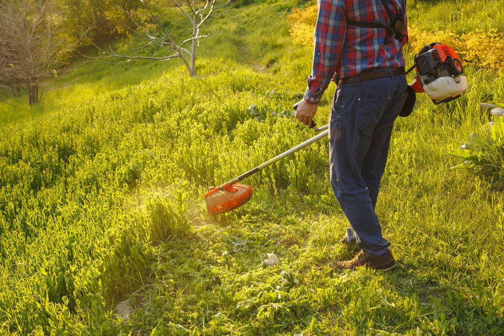 tonte tondeuse - travailleur couper l'herbe dans la cour verte au coucher du soleil - Photo, image