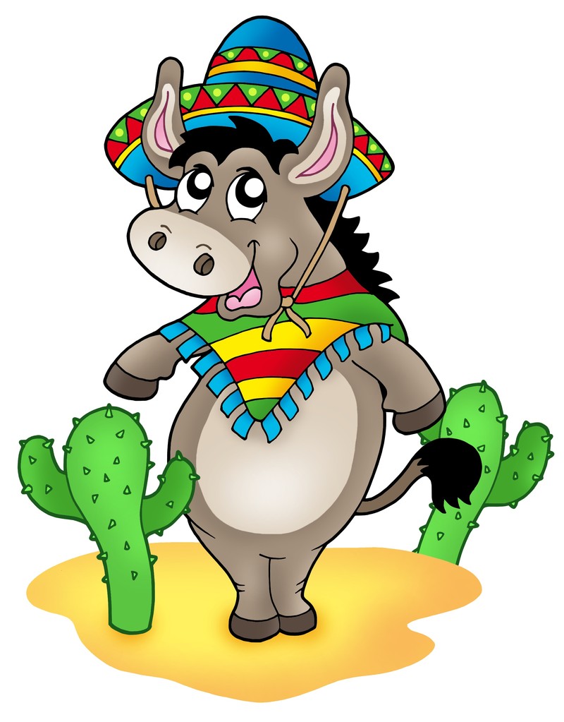 Mexican donkey with cactuses - Photo, Image