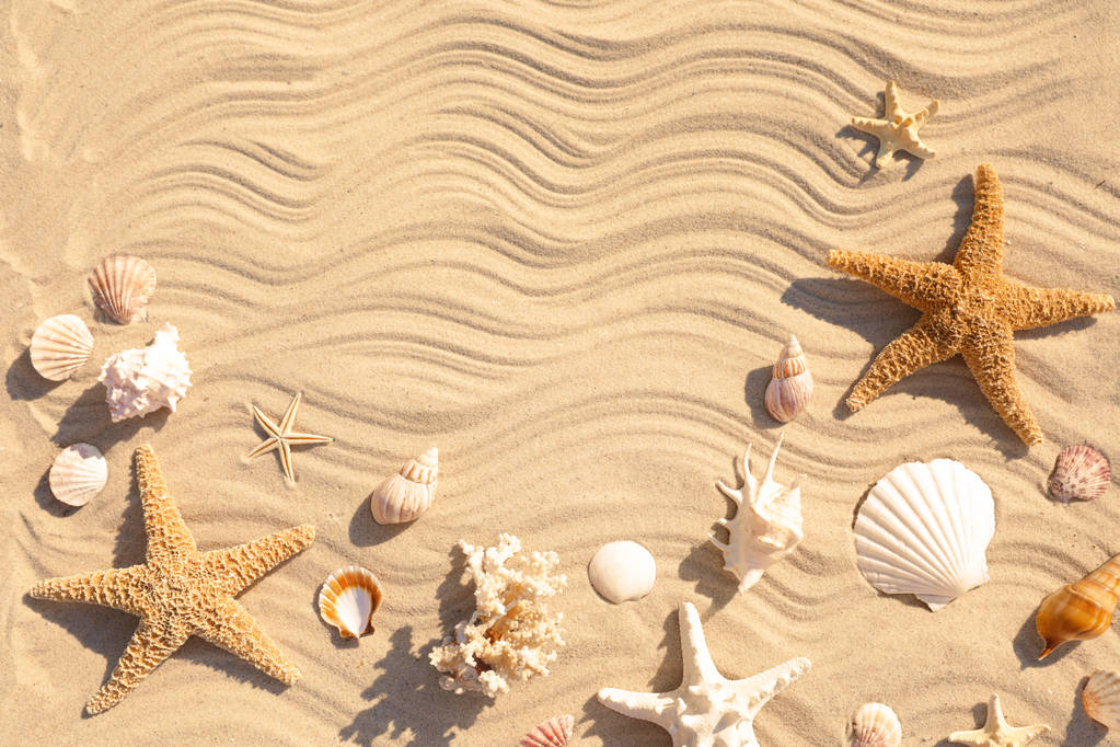 Морские звезды и ракушки на пляжном песке с волновым рисунком, плоский лежал. Пространство для текста
 - Фото, изображение