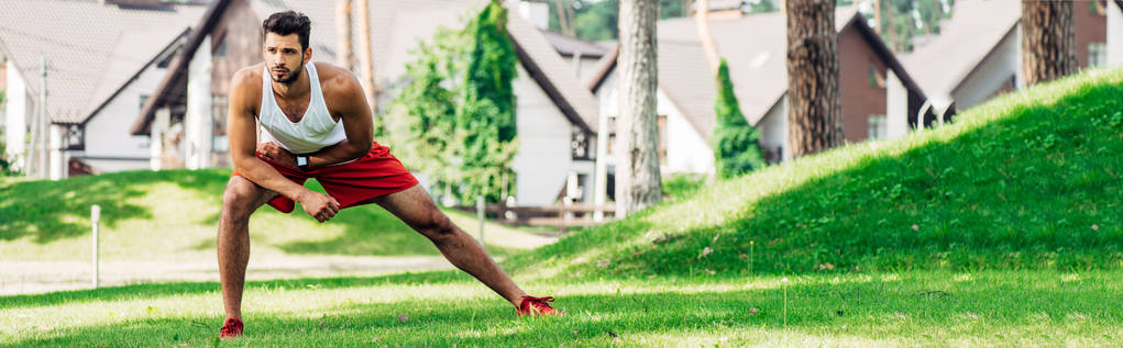 панорамный снимок красивого мужчины, согревающегося во время упражнений на газоне
  - Фото, изображение
