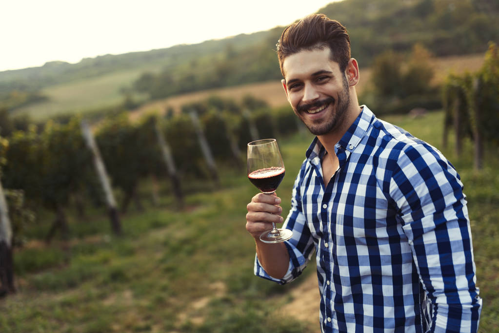 Jonge knappe man drinkt rode wijn in wijngaard - Foto, afbeelding