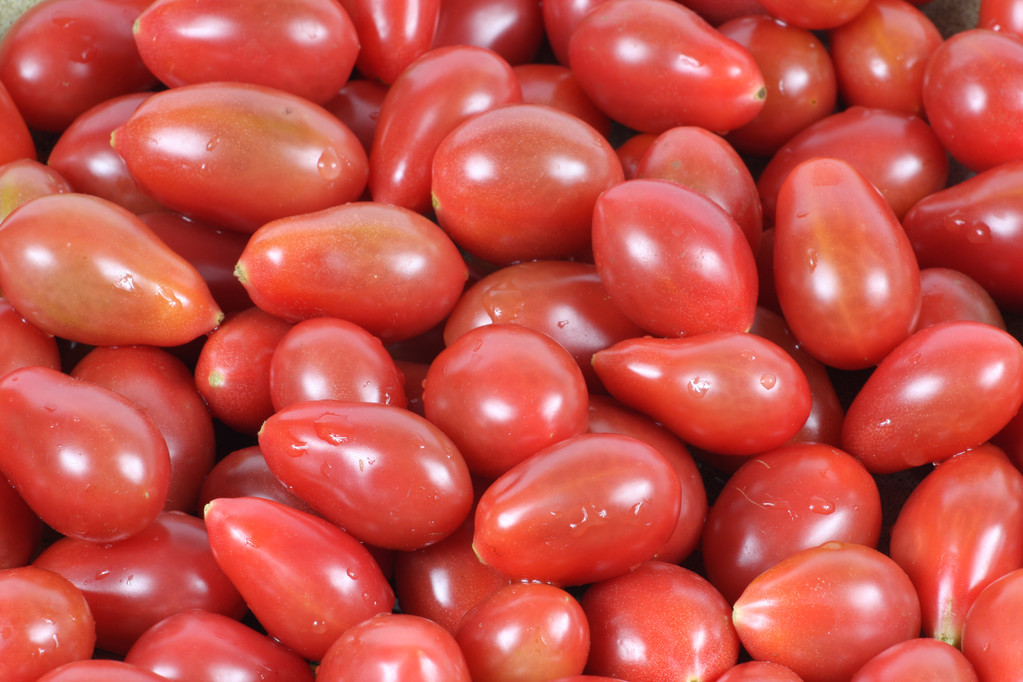 Tomates rouges
 - Photo, image