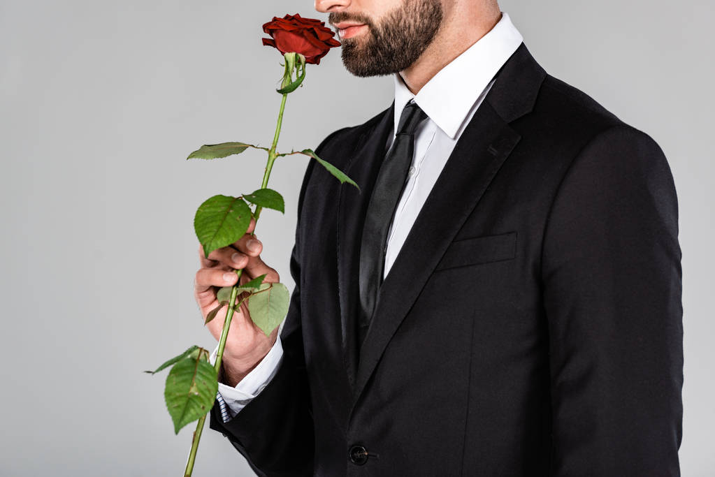 灰色に隔離された赤いバラの匂い黒いスーツでエレガントなハンサムなビジネスマンの部分的なビュー - 写真・画像