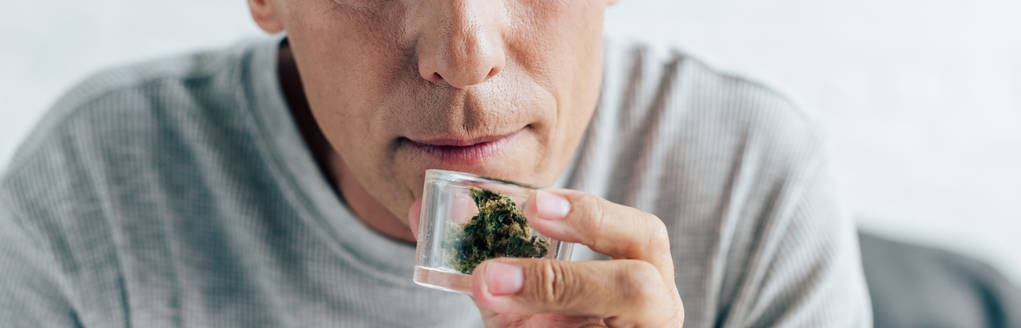 панорамный снимок человека, нюхающего медицинскую марихуану в квартире
  - Фото, изображение