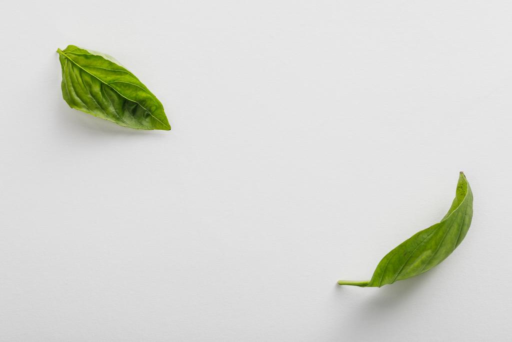 Vue de dessus des feuilles de basilic vert frais sur fond blanc
 - Photo, image