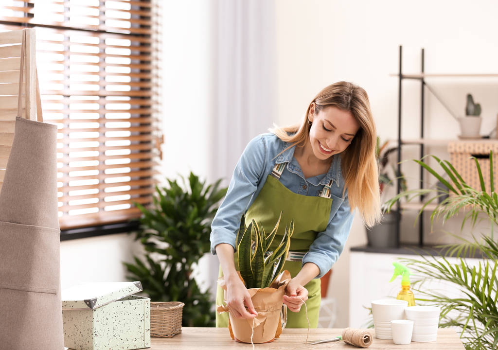 Giovane donna che si prende cura di piante d'appartamento in casa. Elemento interno
 - Foto, immagini