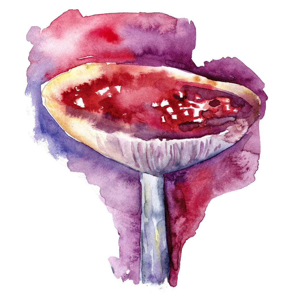 Red fly agaric in watercolor on pink purple background. Forest mushrooms. Autumn forest. Realistic style. Watercolor Bohemian forest. Hand drawn creative illustration. - Photo, Image