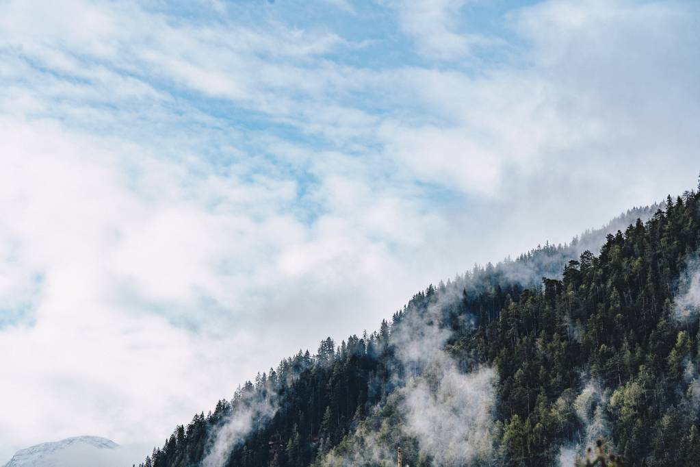 Scatto aereo di una foresta su un'alta collina con nuvole e cielo blu
 - Foto, immagini
