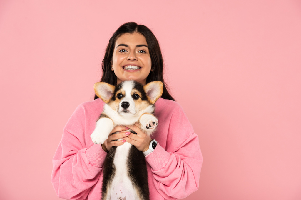ピンクに隔離されたウェールズコーギーの子犬を持つ美しい笑顔の女の子 - 写真・画像