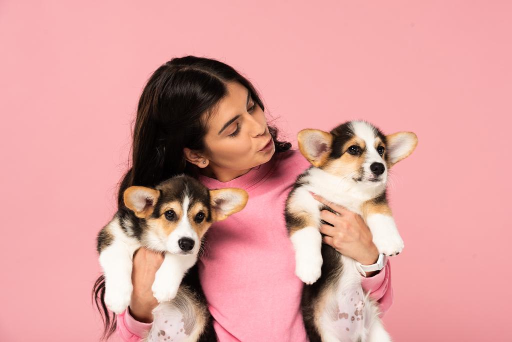 hermosa mujer sosteniendo lindos cachorros, aislado en rosa
 - Foto, imagen