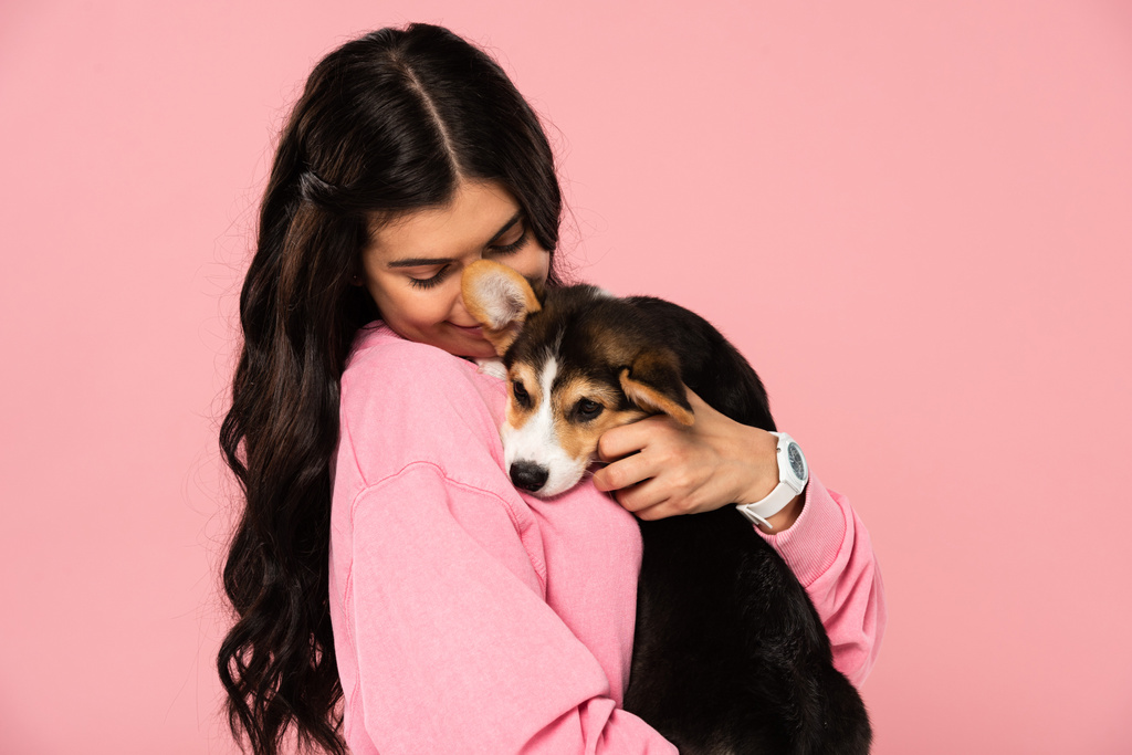 bela jovem segurando bonito cachorrinho Corgi, isolado em rosa
 - Foto, Imagem