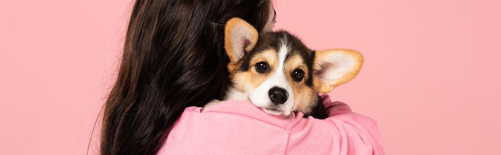 brunette vrouw houdt schattige Corgi puppy, geïsoleerd op roze - Foto, afbeelding