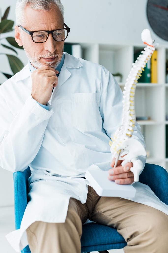 pensive doctor in white coat holding spine model in clinic  - Photo, Image