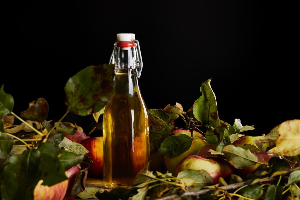 熟したリンゴの近くに新鮮なサイダーのボトルと黒で隔離された葉 - 写真・画像