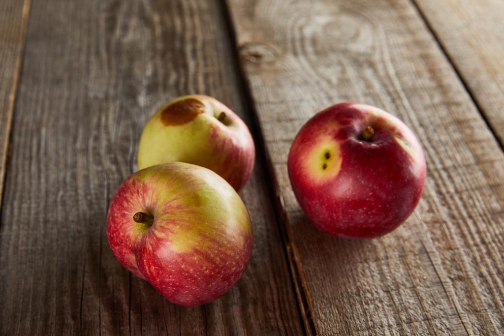 fa felületű almák, rothadt folt - Fotó, kép