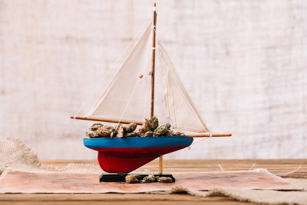 decorative ship with dry plant lumps on wooden surface - Photo, Image