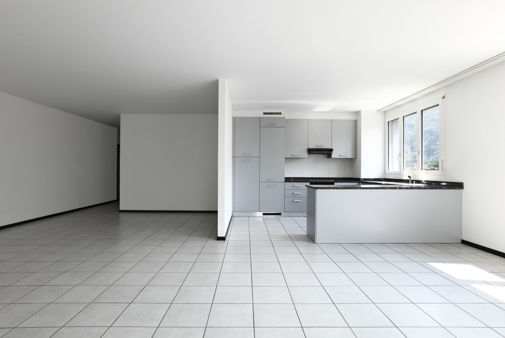 新しい灰色のアパートの家具の台所から見る - 写真・画像