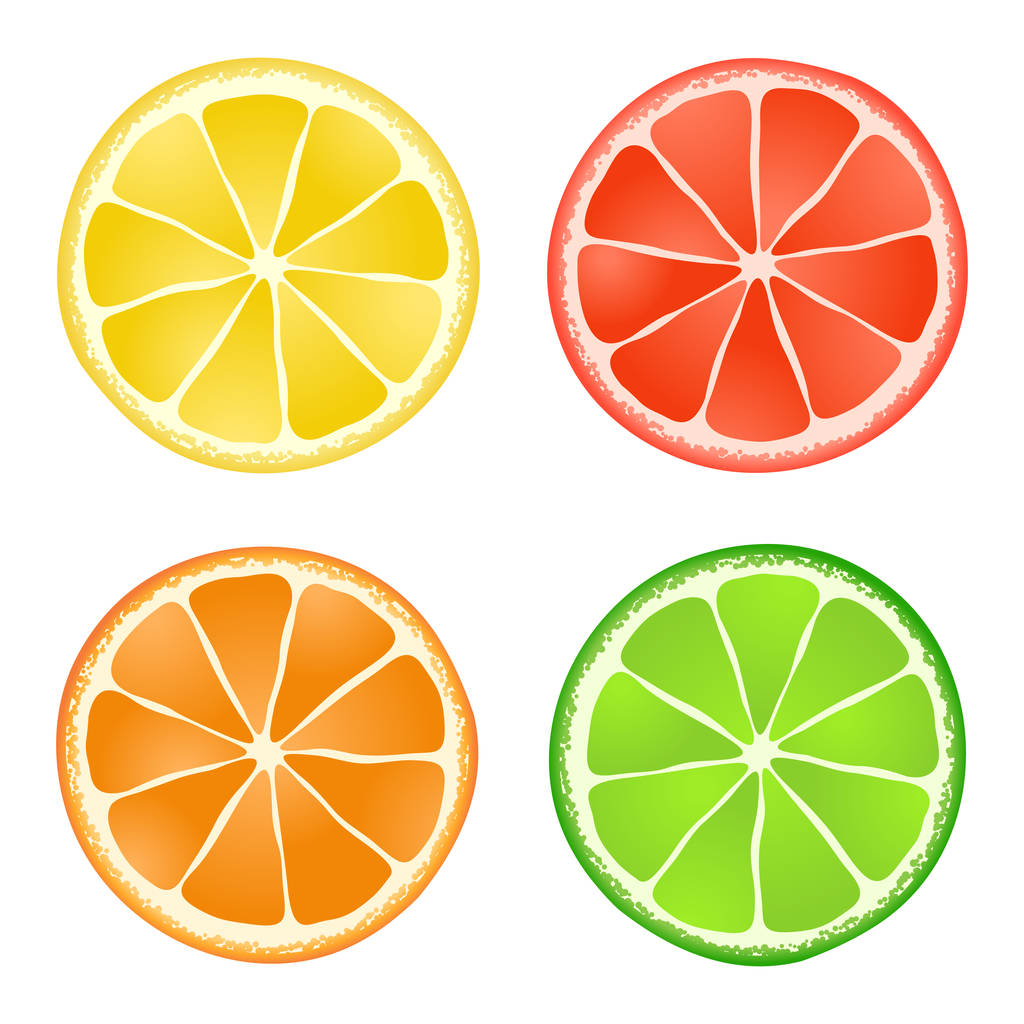 vector collectie van citrusschijfjes op witte achtergrond - Vector, afbeelding