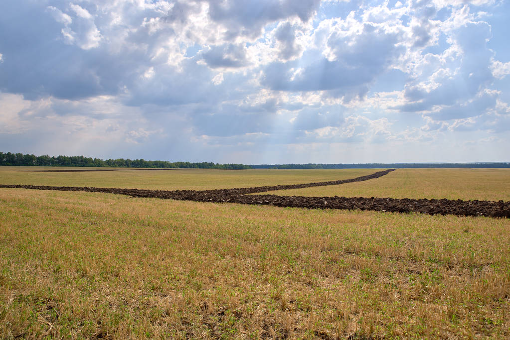 tierra arada, cosechada, cultivada Chernozem
 - Foto, Imagen