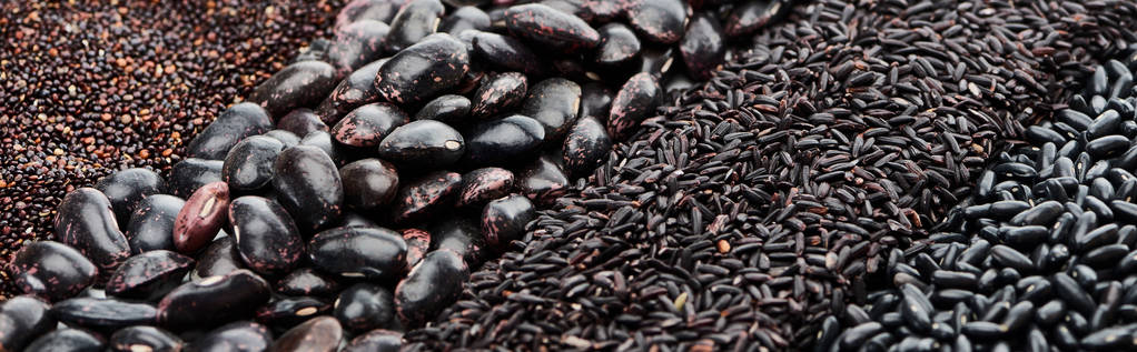 panoraama laukaus valikoituja mustia papuja, kvinoa ja riisiä
 - Valokuva, kuva