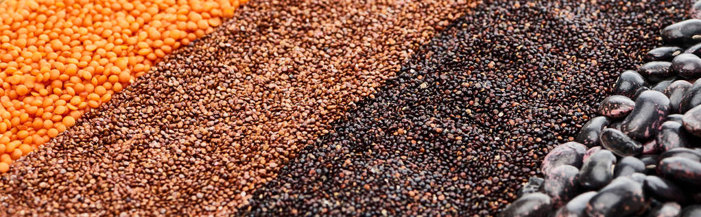 panoramische Aufnahme von verschiedenen schwarzen Bohnen, Quinoa, roten Linsen und Buchweizen - Foto, Bild